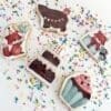 birthday shaped printed cookies