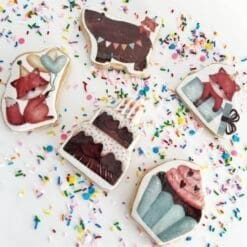 birthday shaped printed cookies