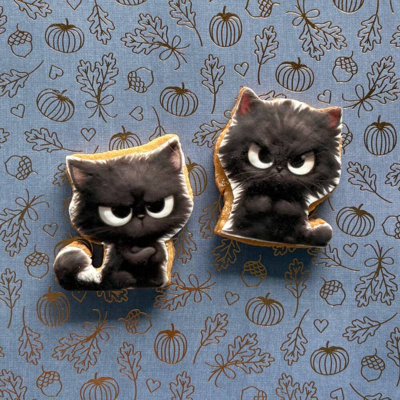angry cat sugar cookies