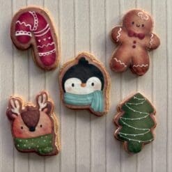 Christmas printed sugar cookies