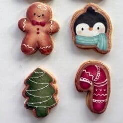 Christmas printed sugar cookies